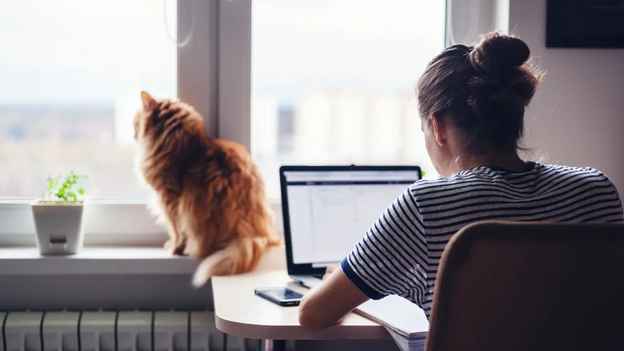 A woman sitting at a desk with a cat looking out the window.