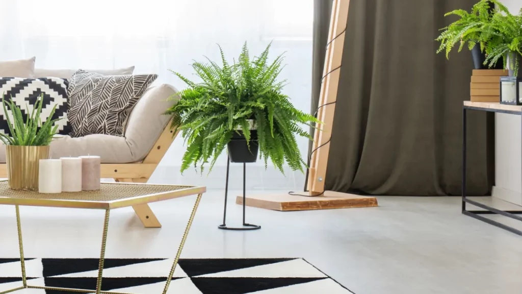 A living room with plants and a vintage drape in the background.